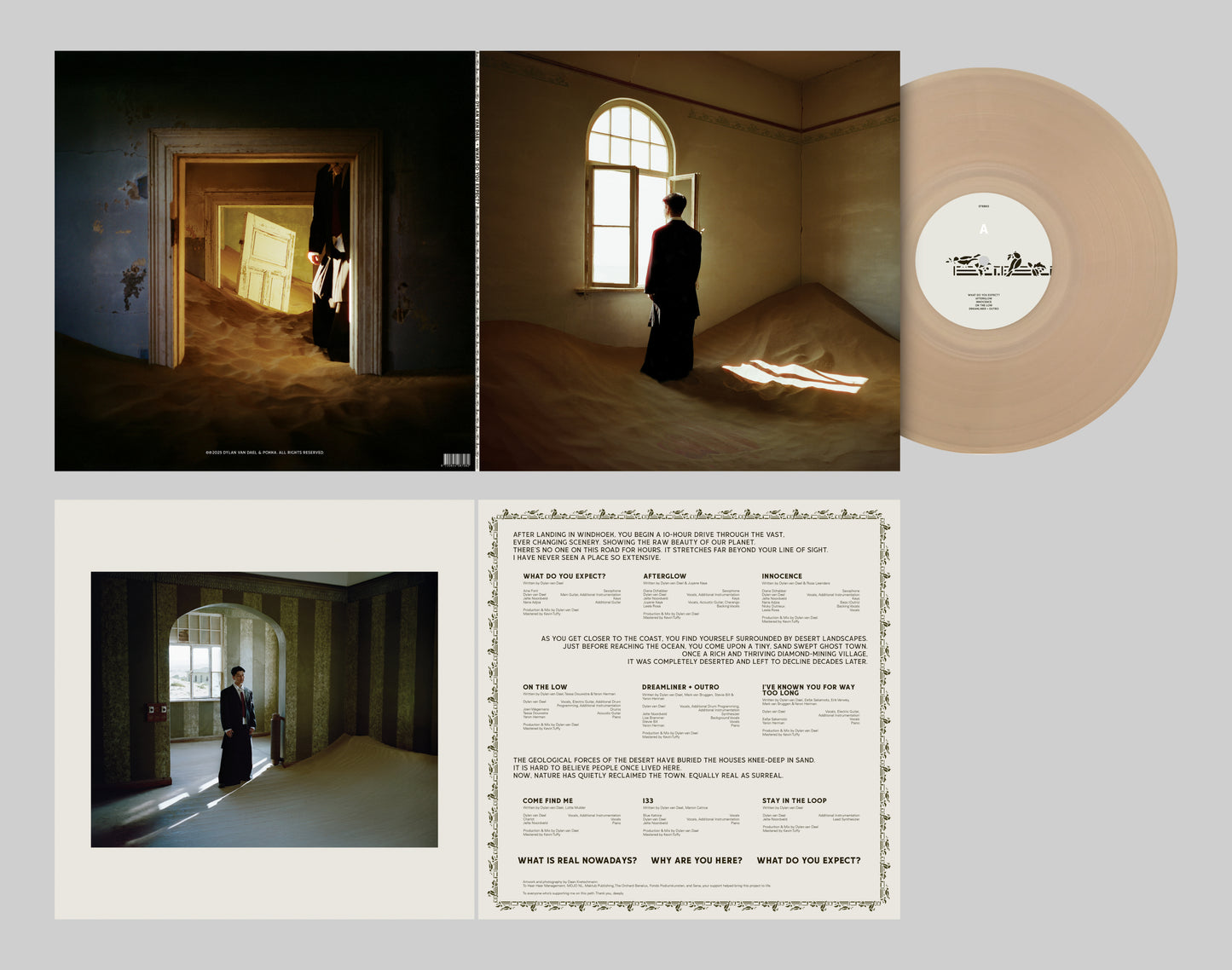Dylan van Dael - What Do You Expect? (Vinyl LP)
